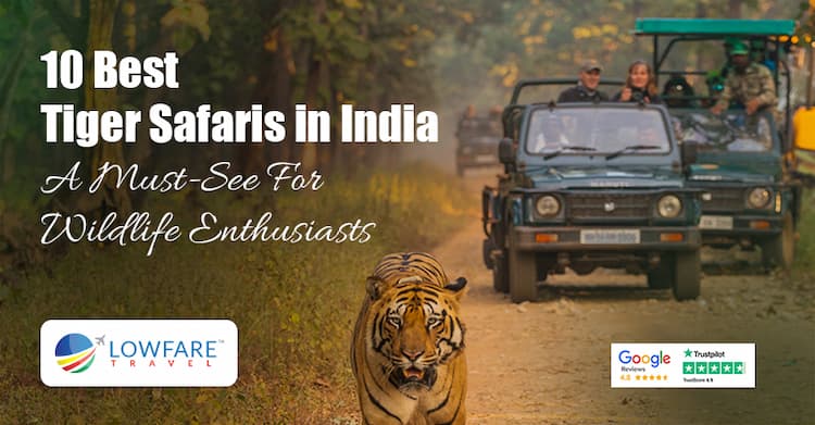 10 Best Tiger Safaris in India: A Must-See For Wildlife Enthusiasts