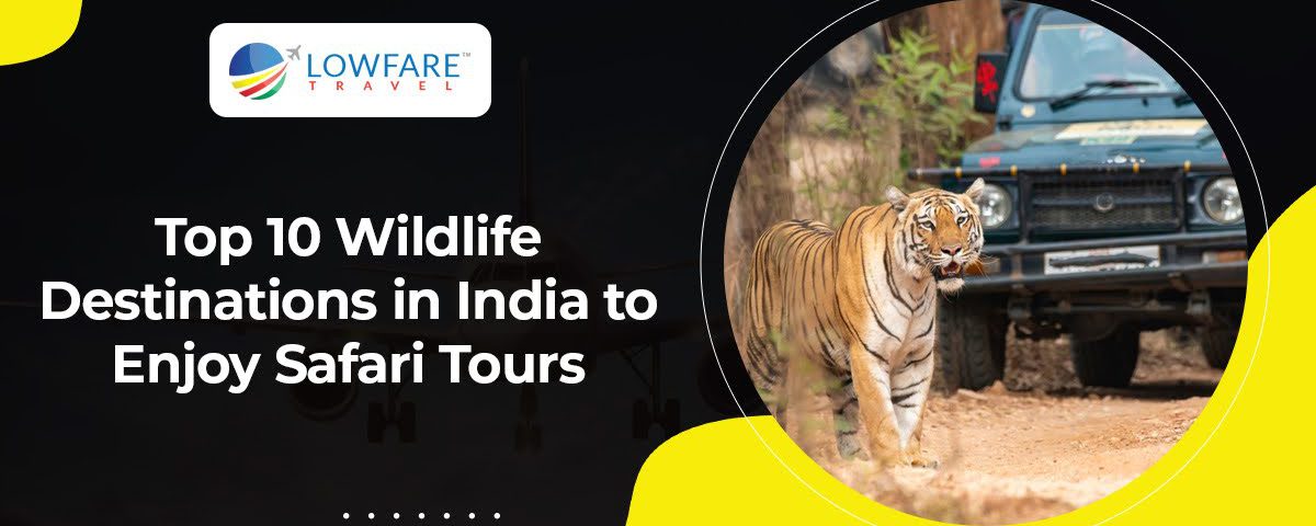 Top 10 Wildlife Destinations in India to Enjoy Safari Tours