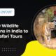 Top 10 Wildlife Destinations in India to Enjoy Safari Tours