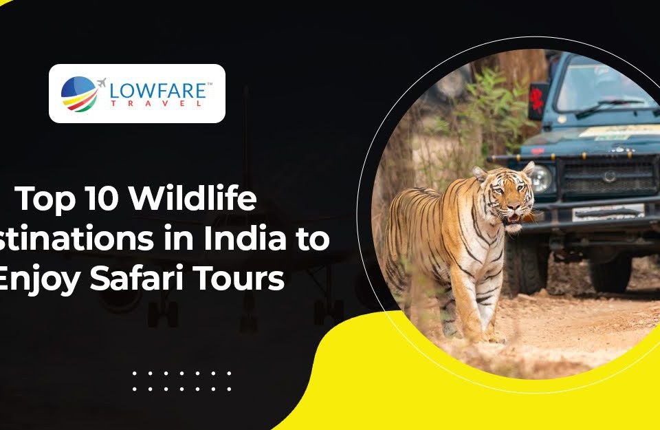 Top 10 Wildlife Destinations in India to Enjoy Safari Tours